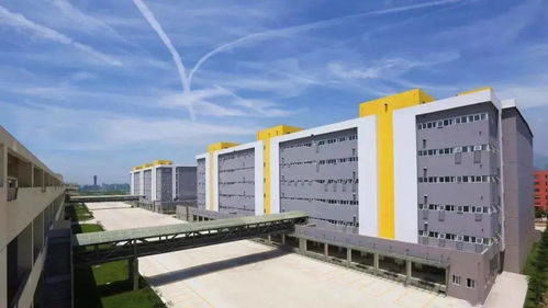 悠悠塘河风光摄影大赛正式启动，邀您定格水韵，赢取惊喜大奖