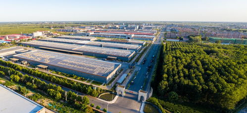 衡水新闻网项城网站建设 打造地方新闻传播新阵地