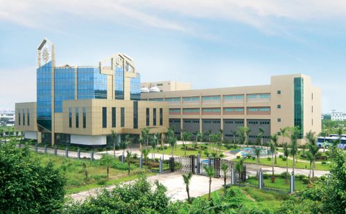 六福集团 三十年铸就国际化高质量发展之路，项城网站建设中的战略缩影