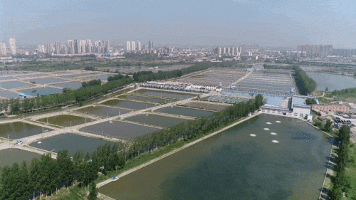 天津市鲤鲫鱼水产种质资源场建设项目 良种培育与产业升级的新篇章